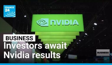 Investors await Nvidia results amid AI bubble fears • FRANCE 24 English