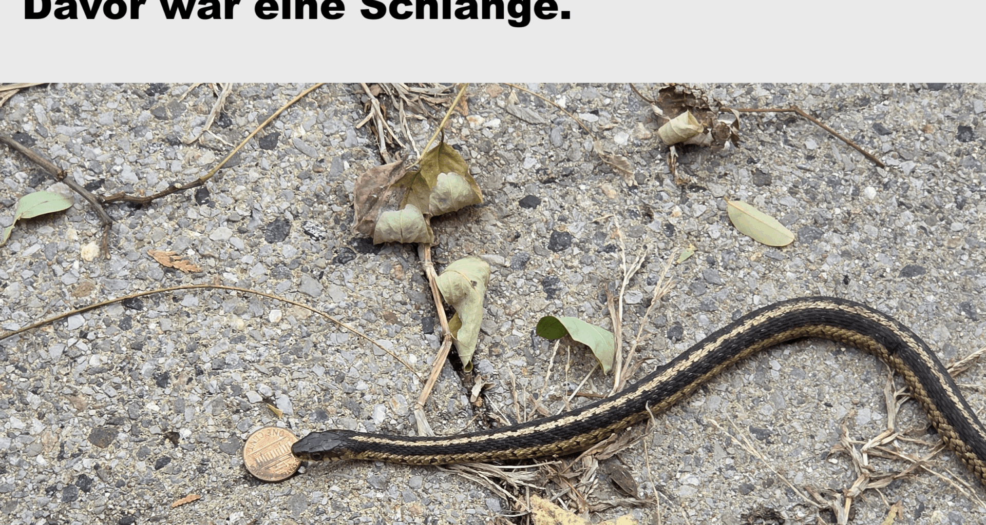 Schon wieder zu spät