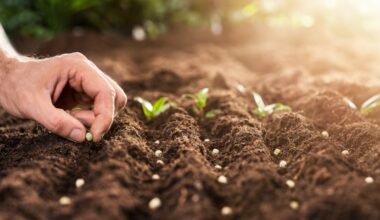 Restarting the Economy: (Still) time to rest - the Jubilee Year as the world's 'Sabbath'