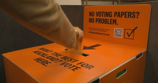 Electoral fraud allegations in Auckland board election probed by police