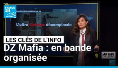 DZ Mafia : en bande organisée • FRANCE 24