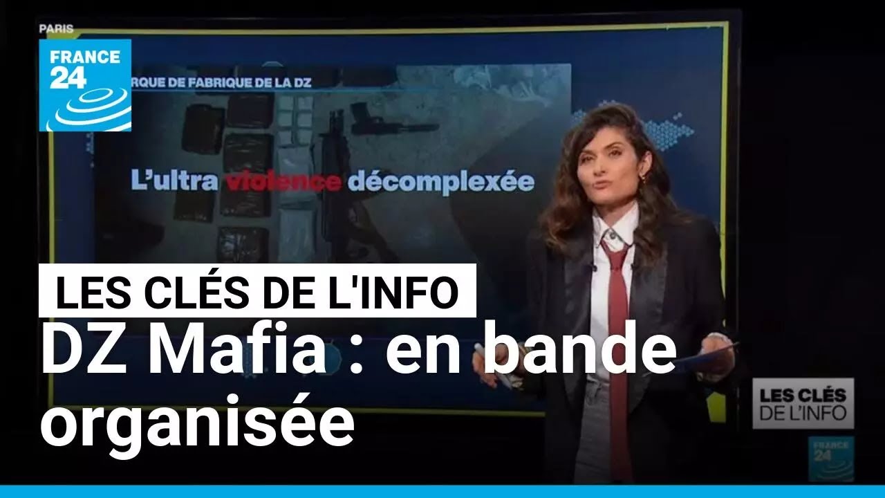 DZ Mafia : en bande organisée • FRANCE 24