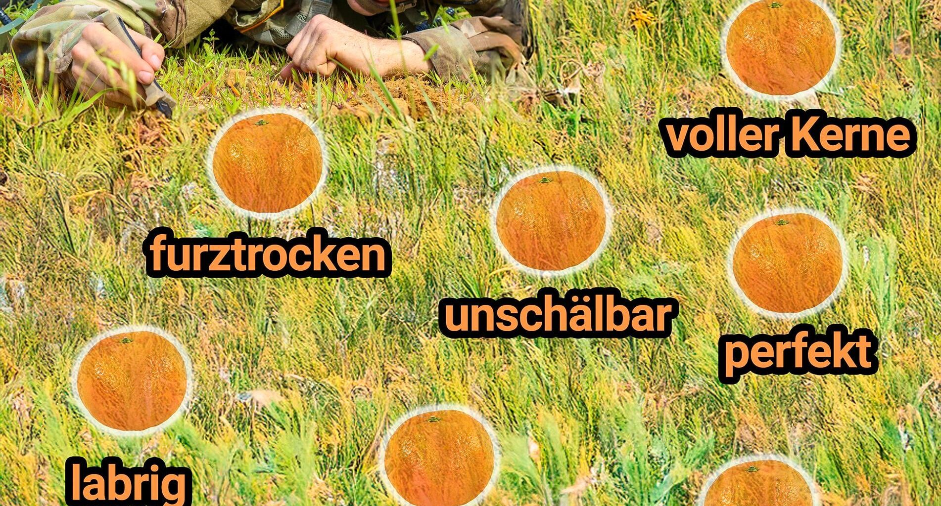 ich_iel