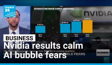 Nvidia's upbeat forecast for future demand calms 'AI bubble' fears • FRANCE 24 English