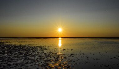 Sonnenuntergang Cuxhaven 2024