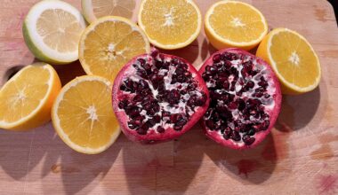 Gestern hatte sich jemand ein Foto eines aufgeschnittenen Granatapfels gewünscht. Die Orangen und Zitronen wachsen auch hinterm Haus.