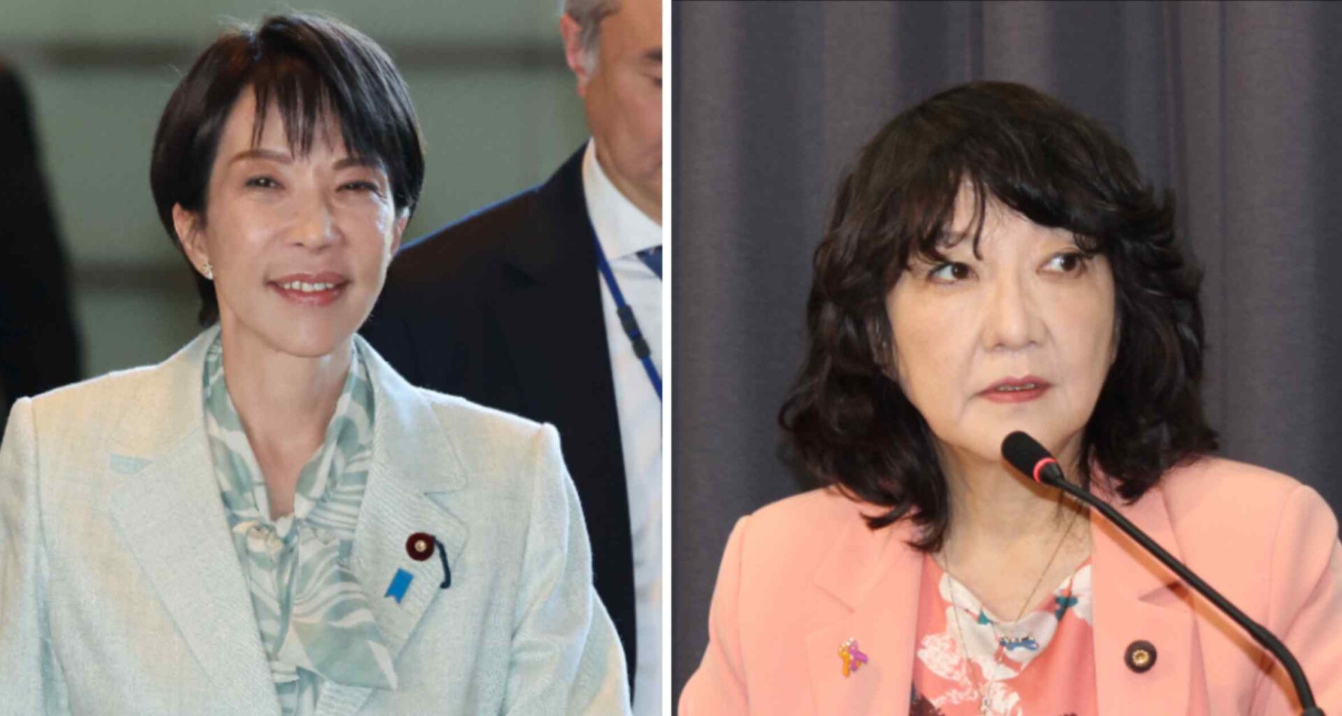 Japan's version of DOGE to spearhead review of subsidies, funds