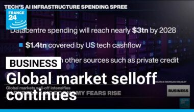 Questions over artificial intelligence boom lead to global market selloff • FRANCE 24 English