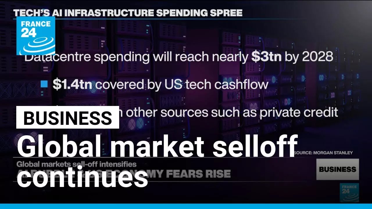 Questions over artificial intelligence boom lead to global market selloff • FRANCE 24 English