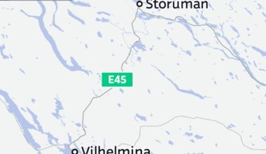 Största delen utskrivna efter bussolyckan i norra Sverige | Utrikes