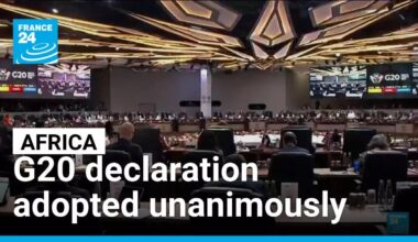 G20 declaration adopted unanimously: World leaders defy US boycott to summit in Africa • FRANCE 24