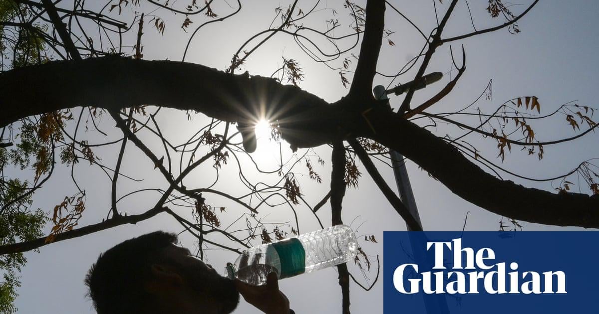 Trump’s anti-climate agenda could result in 1.3m more deaths globally, analysis finds