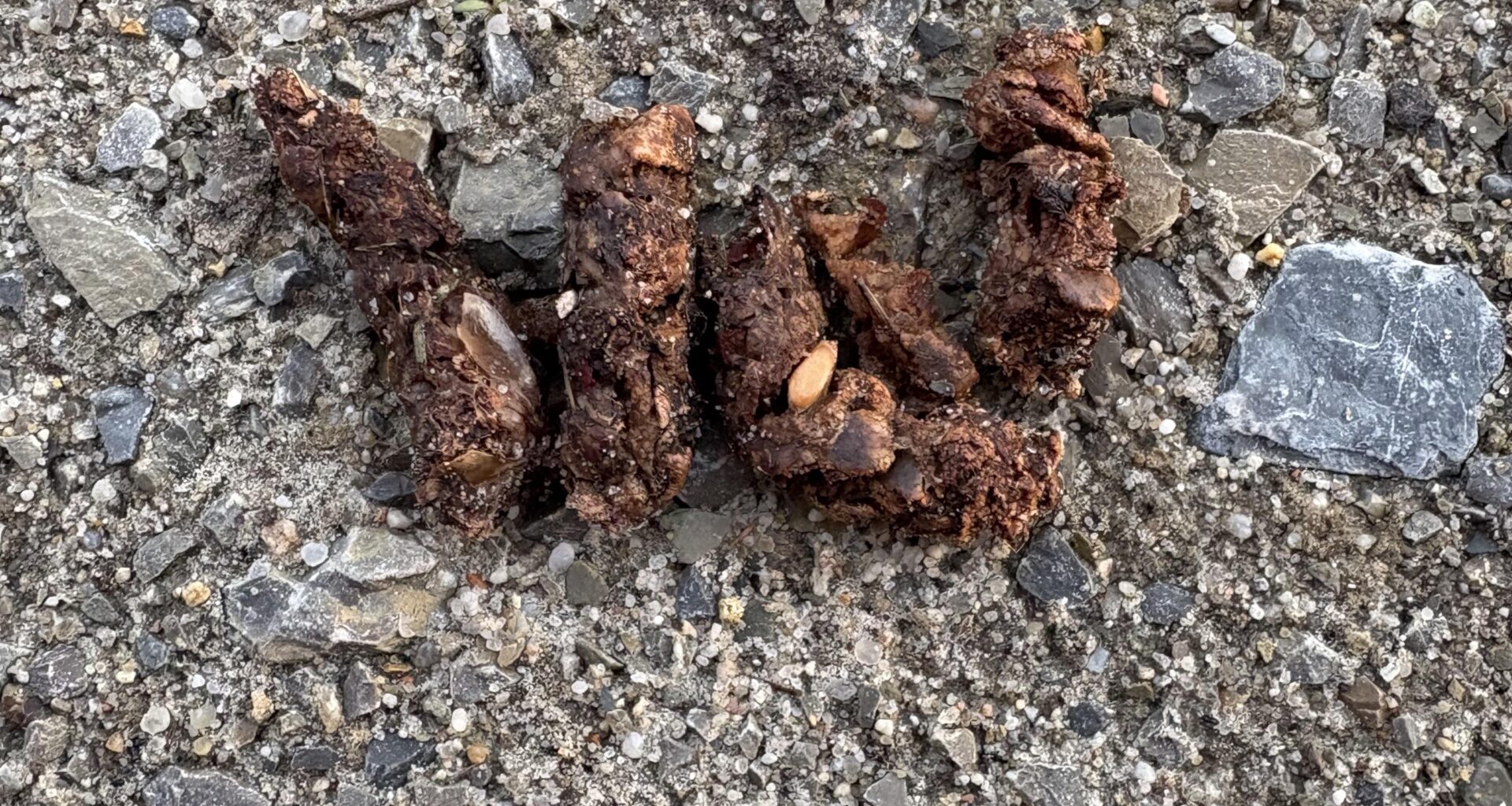 Von welchem Tier stammt der Kot?