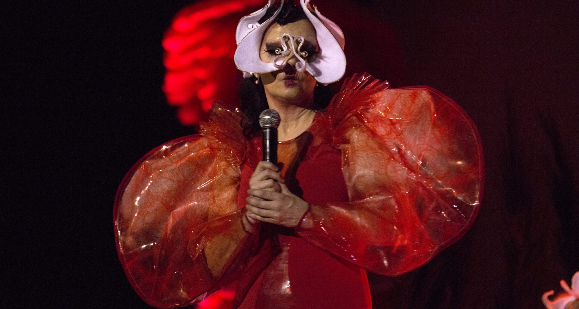 Björk Files Lawsuit Against Icelandic State On Own Birthday