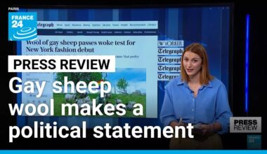 Gay sheep's wool used by fashion designer to make a statement • FRANCE 24 English