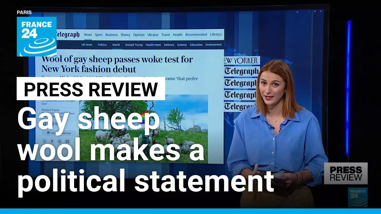 Gay sheep's wool used by fashion designer to make a statement • FRANCE 24 English