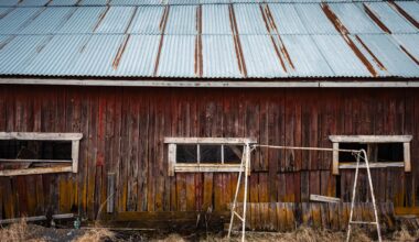 Rural Finnish old building, what do you guys think?