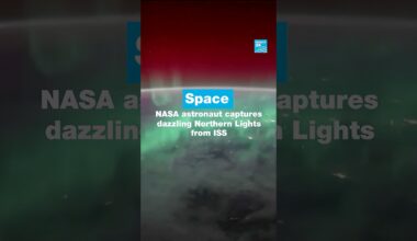NASA astronaut Zena Cardman captures dazzling Northern Lights from ISS • FRANCE 24 English