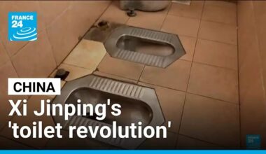 China's toilet revolution: World toilet day aims to promote clean sanitation for all • FRANCE 24