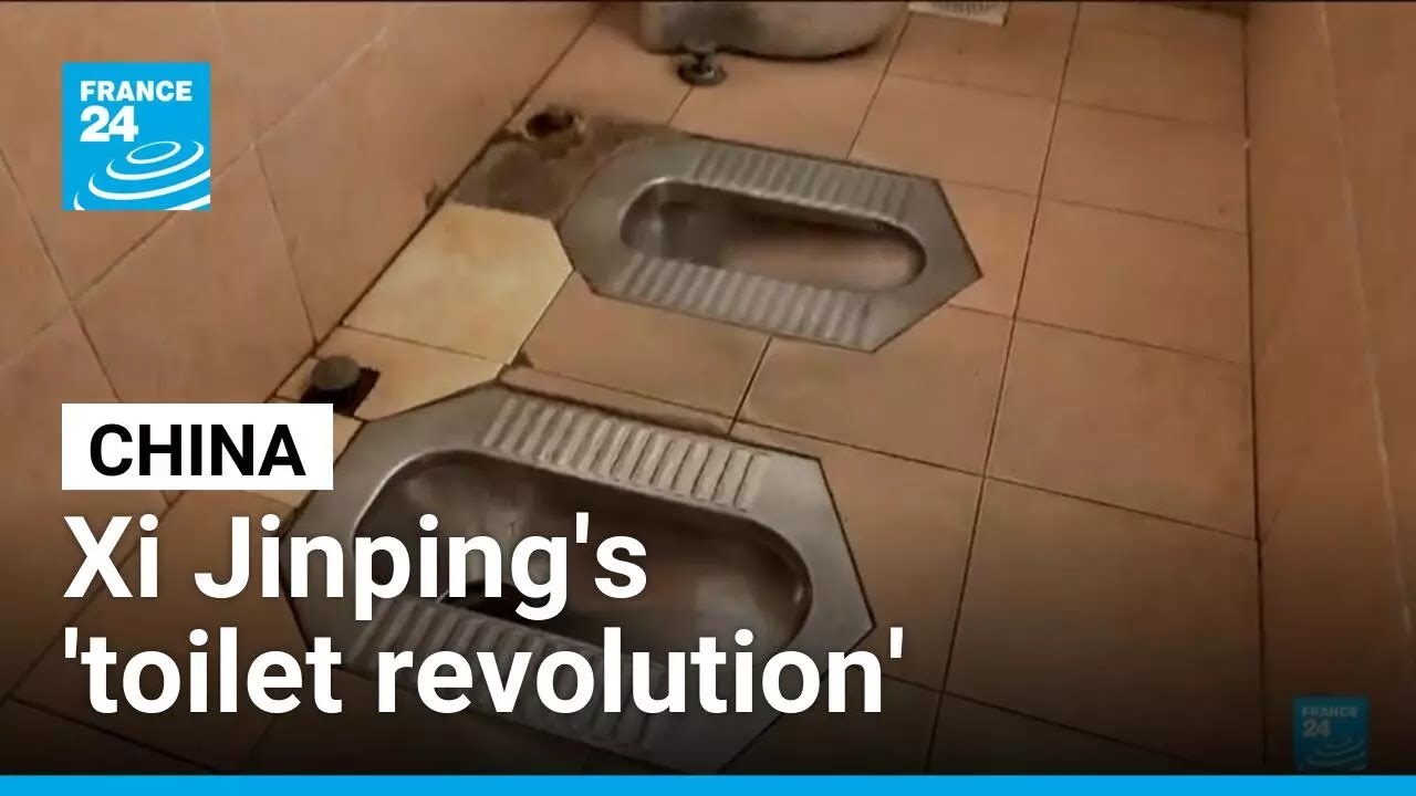 China's toilet revolution: World toilet day aims to promote clean sanitation for all • FRANCE 24