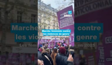 Marche féministe contre les violences de genre • FRANCE 24