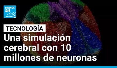 Así funciona el cerebro digital "más preciso" creado con un supercomputador • FRANCE 24 Español