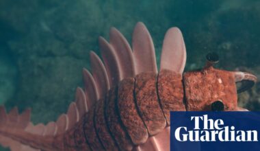 Changes in solar energy fuelled high speed evolutionary changes, study suggests | Science