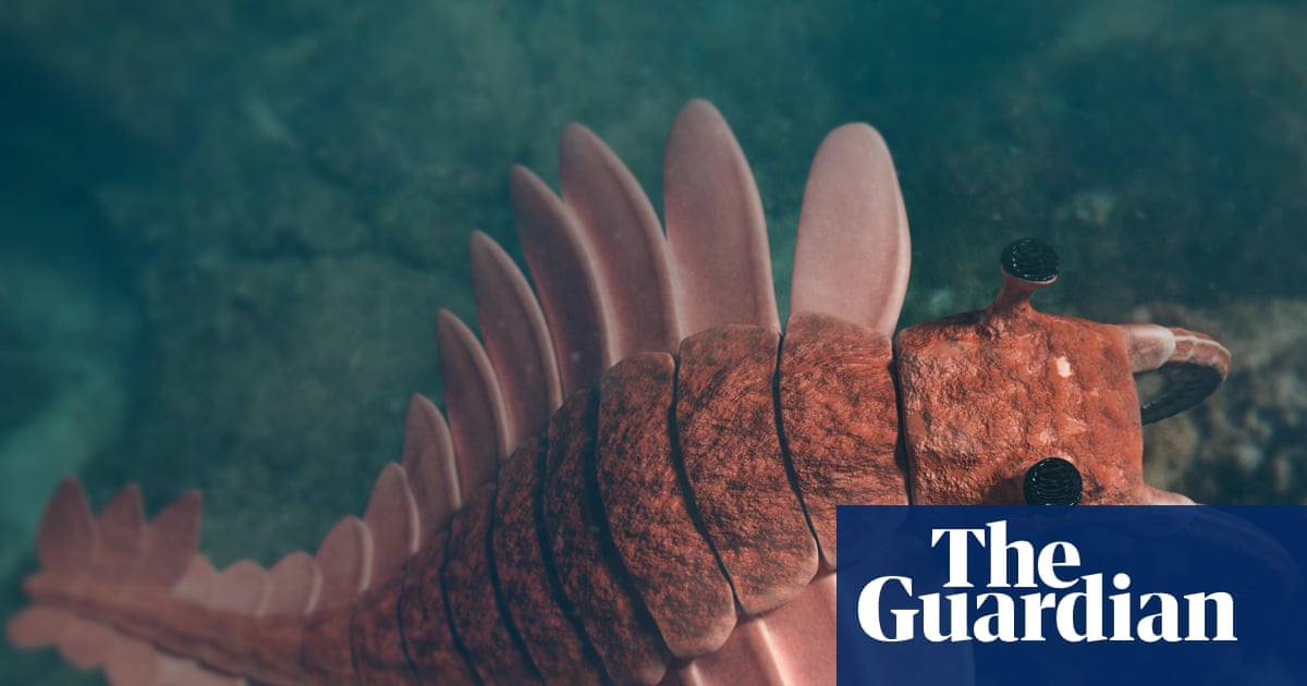 Changes in solar energy fuelled high speed evolutionary changes, study suggests | Science