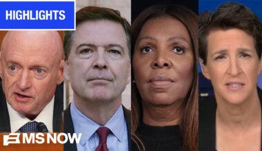 MS NOW Highlights - Nov. 24