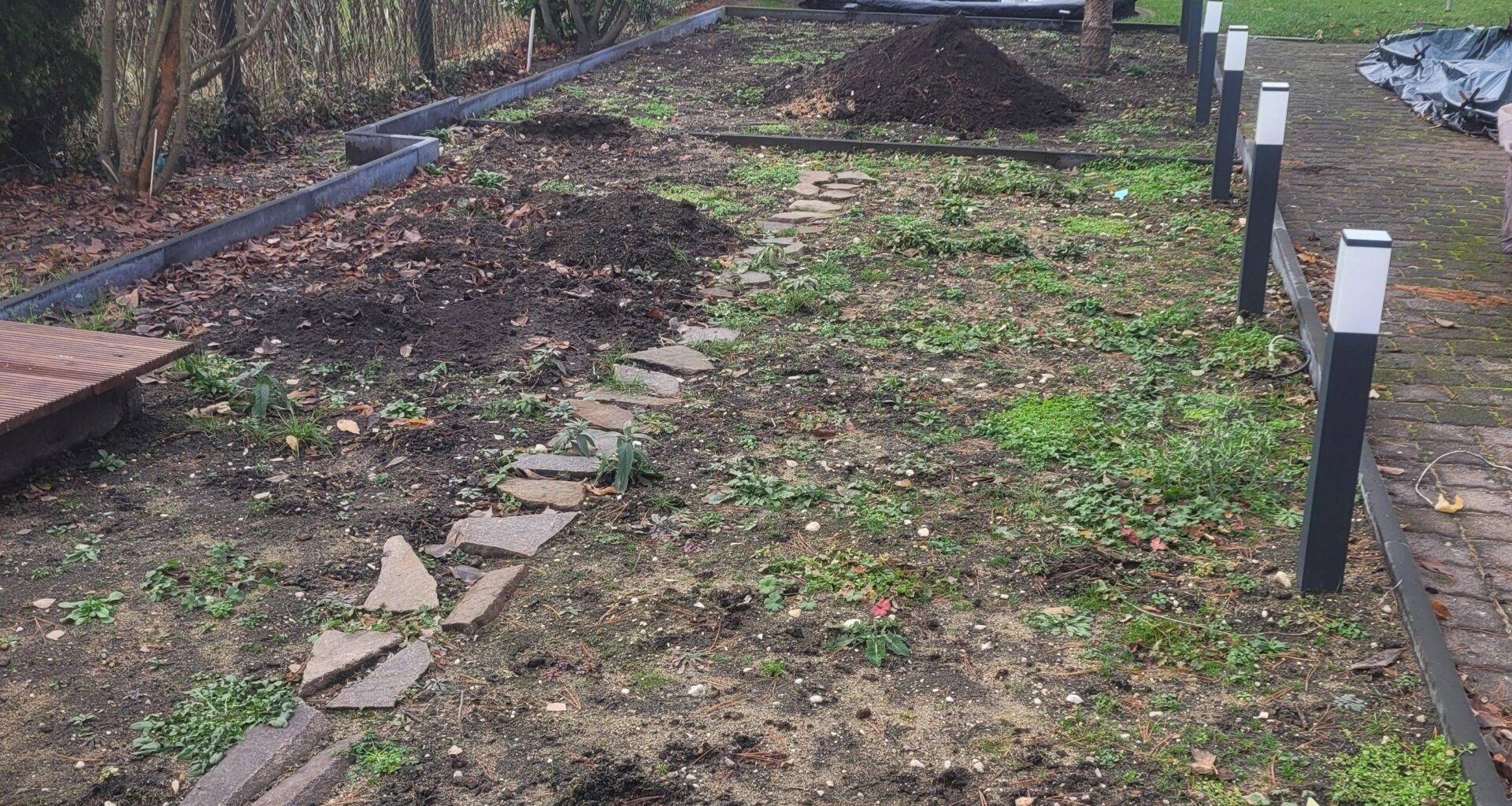 Beet verkrautet nach Ernte / Vorbereitung nächste Aussaat