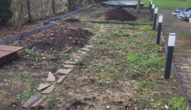 Beet verkrautet nach Ernte / Vorbereitung nächste Aussaat