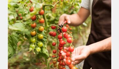 Growing to survive in a frozen wonderland