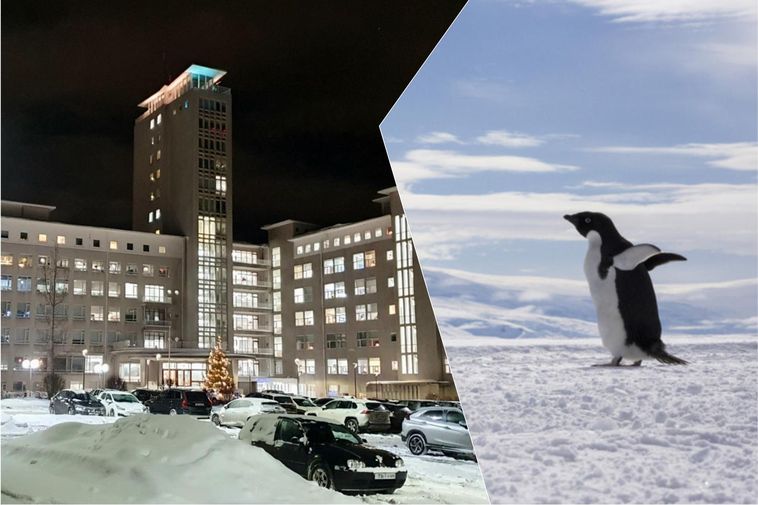 Ice-related accidents are putting strain on the emergency department