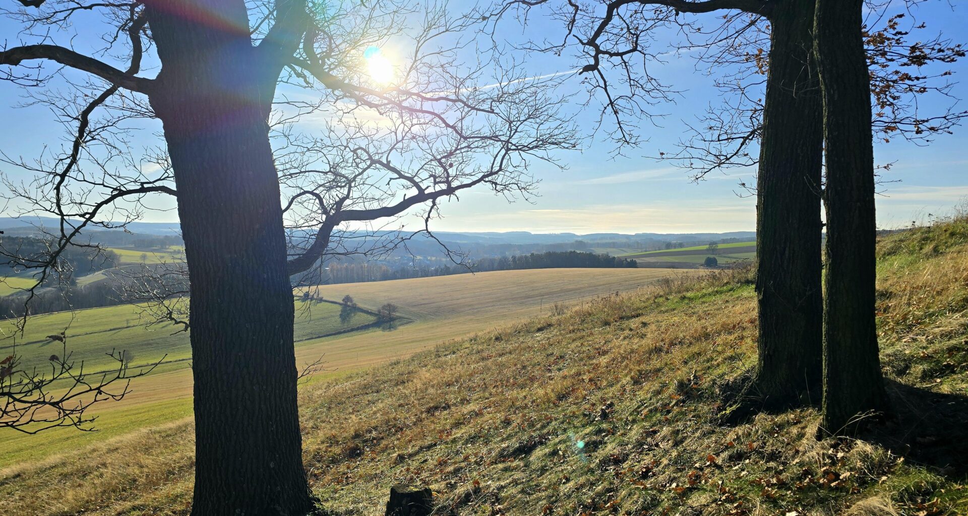 Herbstsonne auf der Culitzscher Höhe.