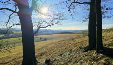 Herbstsonne auf der Culitzscher Höhe.