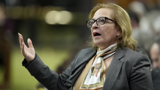 Immigration minister denies knowledge of U.S. diplomatic directive to get Canada, allies to lower immigration