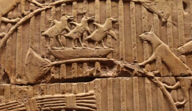 Dans le sillage des Romains, les matous sont arrivés en Europe il y a 2000 ans, en provenance d’Afrique du Nord