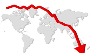Ceny zbóż najniższe od pięciu lat. Polska wśród najtańszych rynków w UE - AgroNews - Portal rolniczy - Wiadomości rolnicze