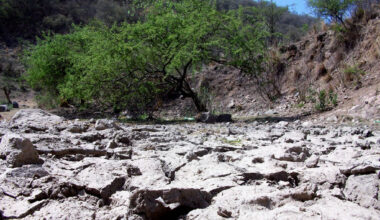 Científicos del CSIC alertan del rápido avance de la desertificación en España