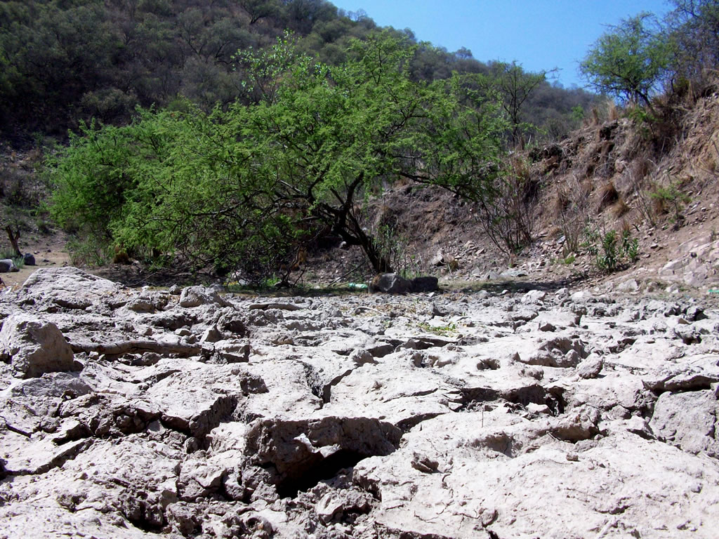 Científicos del CSIC alertan del rápido avance de la desertificación en España