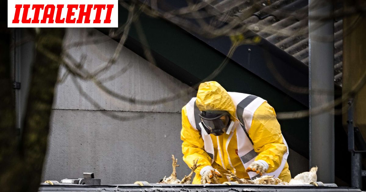 Professorilta varoitus pandemiasta – Voi olla koronaa pahempi