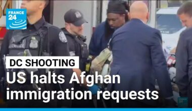 US halts Afghan immigration requests after National Guard attack • FRANCE 24 English