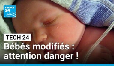 La course aux "bébés sur mesure" a commencé • FRANCE 24