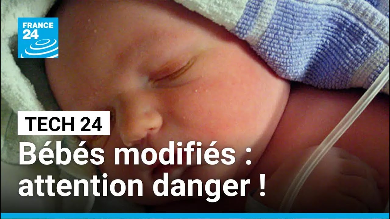 La course aux "bébés sur mesure" a commencé • FRANCE 24