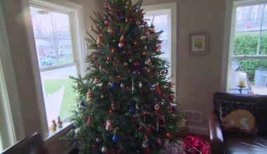 Trade war hits home for the holidays as artificial Christmas trees deal with tariffs