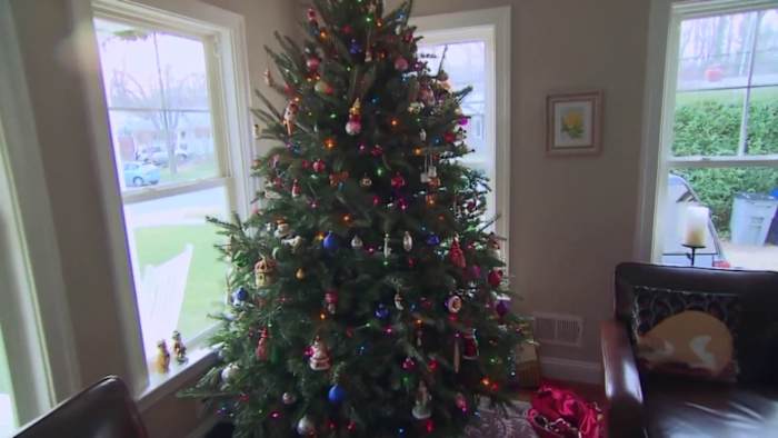Trade war hits home for the holidays as artificial Christmas trees deal with tariffs