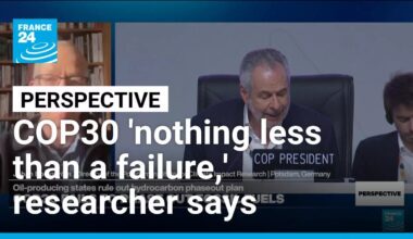 'Scientifically, COP30 has been nothing less than a failure,' researcher says • FRANCE 24 English