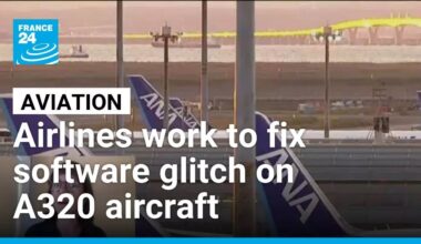 Airlines worldwide work to fix software glitch on A320 aircraft • FRANCE 24 English