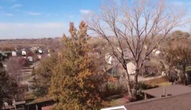 Papillion residents told their trees will be removed for gas pipeline