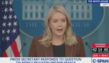 Karoline Leavitt Blasted After Calling Damning Epstein Emails About Trump A 'Manufactured Hoax'